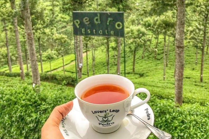 Kandy to Nuwara Eliya Day Tour: Tea Plantations, Ramboda Falls & Gregory Lake photo 3