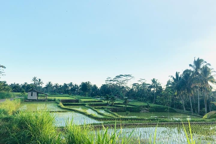 Benang Kelambu & Benang Stokel: Lombok's Twin Waterfall Day Tour photo 3