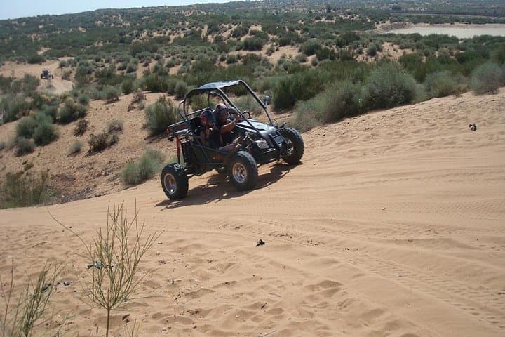 Buggy Adventure Through Agadir's Argan Forest and Massa Valley photo 5