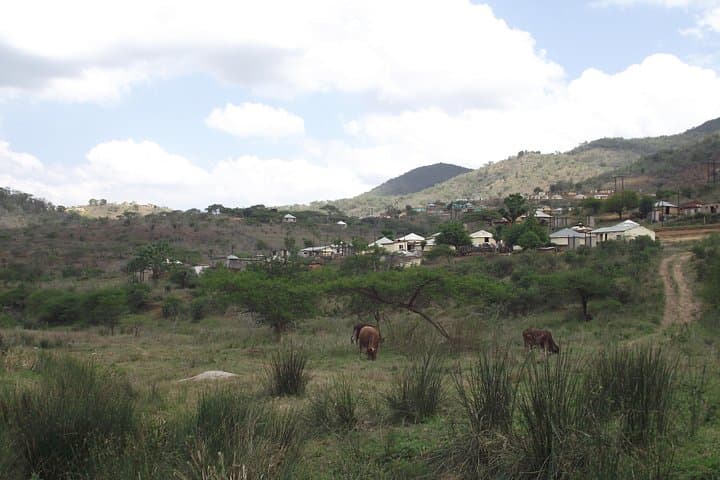 Zulu Cultural Experience: iSithumba Village & PheZulu Day Tour from Durban photo 5