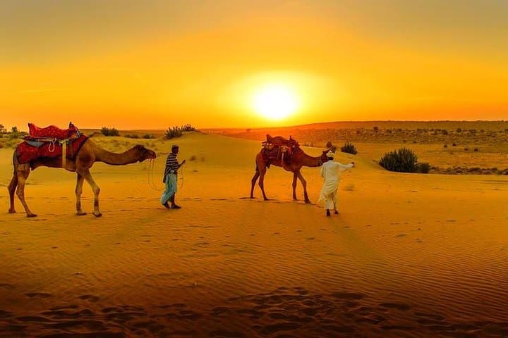 Agafay Desert & Atlas Mountains Day Trip from Marrakech — Camel Ride and Waterfalls