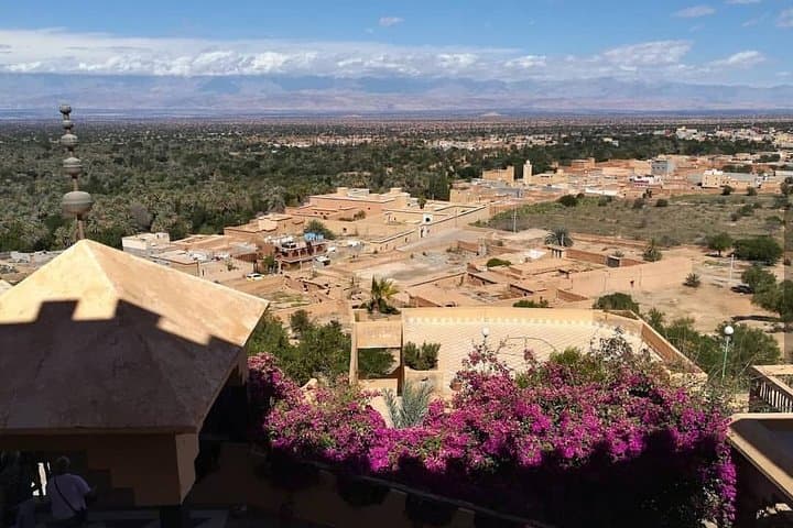 Taroudant & Tiout: Mini Marrakech Day Trip to Kasbahs and Oasis photo 4