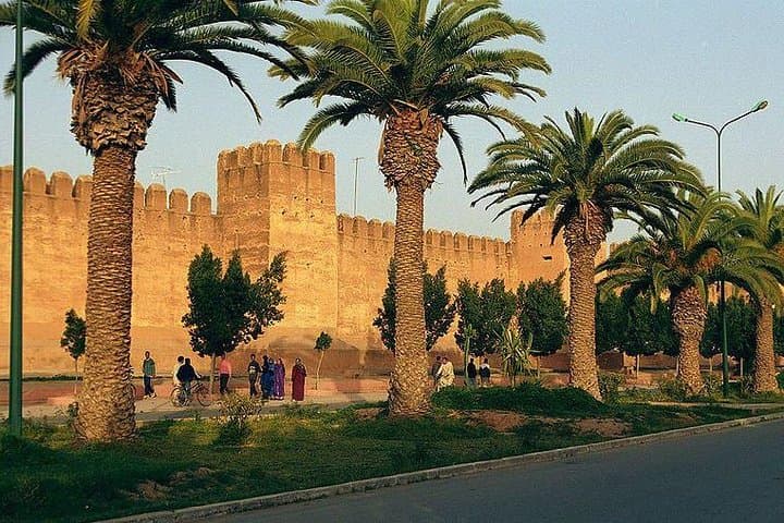 Taroudant & Tiout Day Trip from Agadir: Medina Ramparts, Palm Grove & Kasbah Lunch