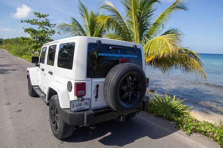 Cozumel Jeep Exploration and All‑Inclusive Tortugas Beach Break photo 3