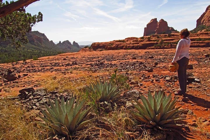 Whole-Day Sedona Vortex Experience: Hike, Meditate and Explore Sedona’s Red Rock Energy Sites photo 5