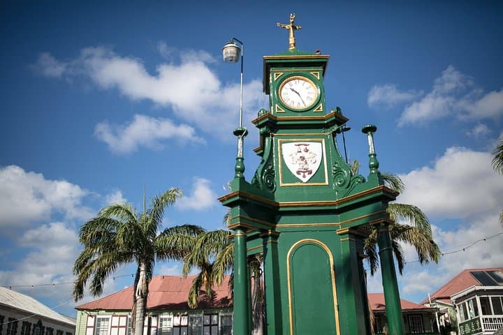 Wingfield Rainforest & Old Road History: Guided Rainforest Walk in St. Kitts photo 3