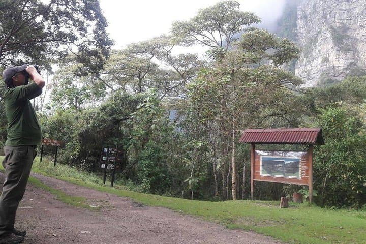 Chicaque Cloud Forest Birding Day Tour from Bogotá photo 3