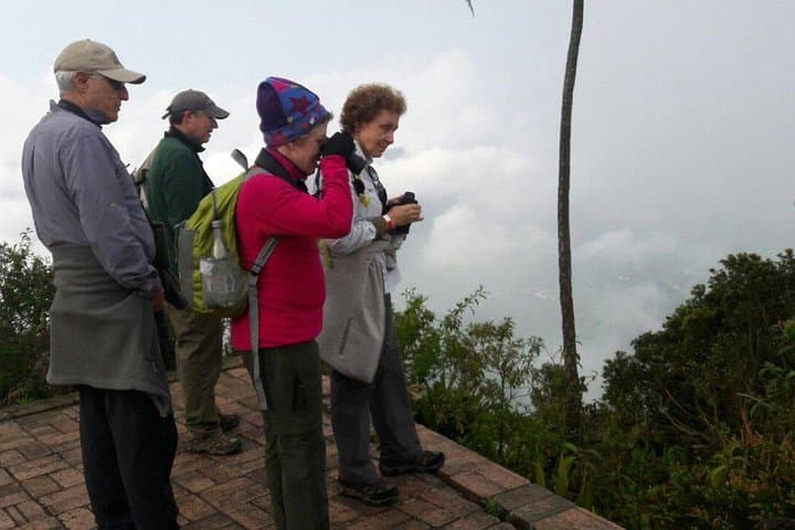 Chicaque Cloud Forest Birding Day Tour from Bogotá photo 4