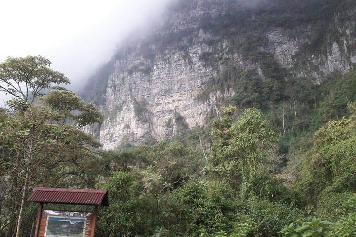 Chicaque Cloud Forest Birding Day Tour from Bogotá photo 5