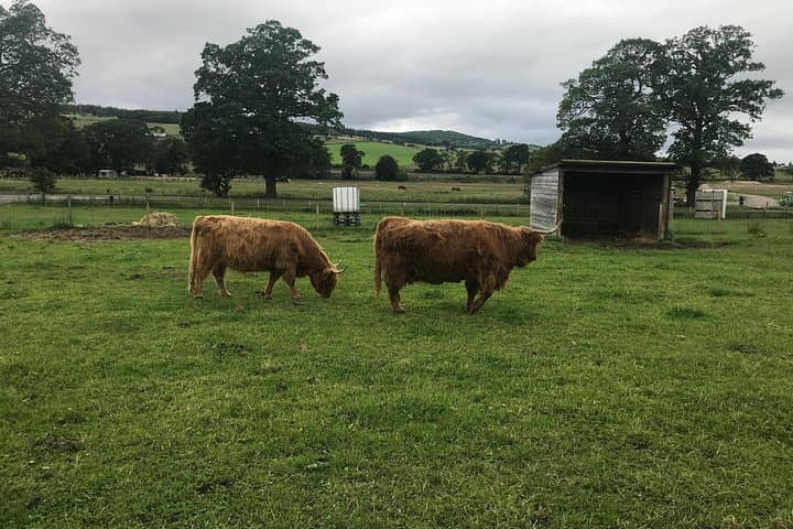 Loch Ness, Culloden & Clava Cairns: Full-Day Heritage and Scenery Tour from Inverness photo 3