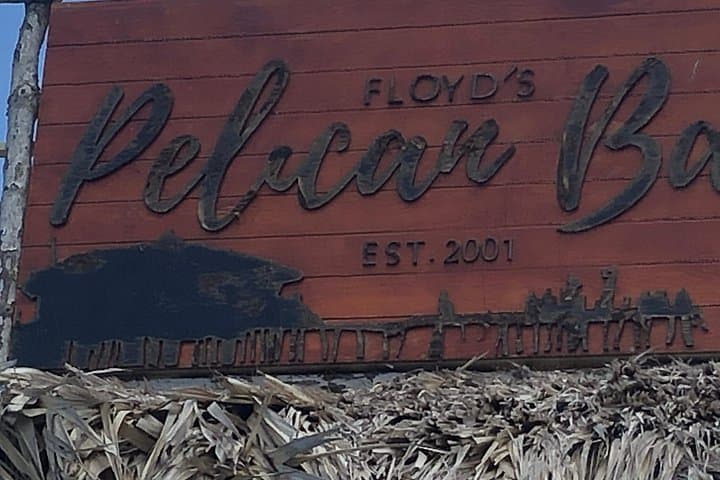 Black River Safari, YS Falls & Floyd's Pelican Bar — Day Trip from Negril photo 3