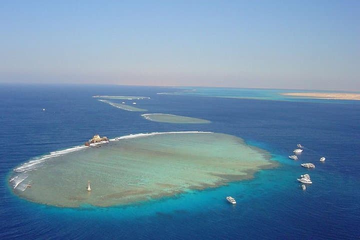 Snorkeling the White Island & Ras Mohammed: Day Trip from Sharm El Sheikh photo 5
