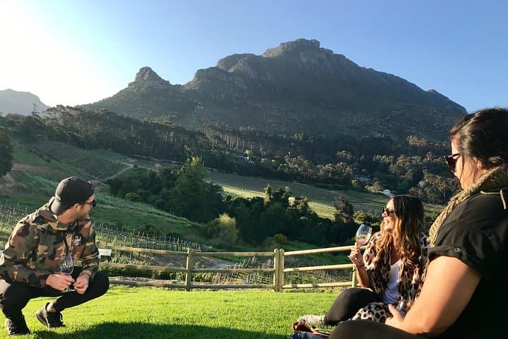 Cape Point Day Tour — Penguins, Coastal Views & Constantia Wine Tasting photo 2