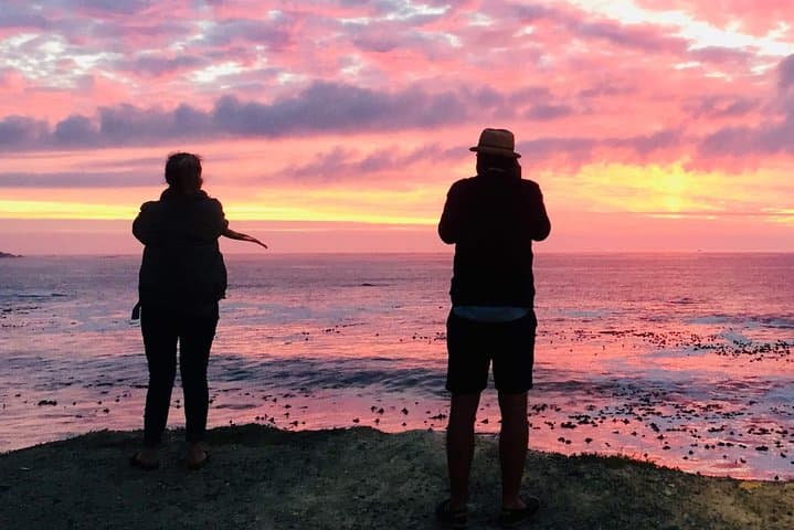 Cape Point Day Tour — Penguins, Coastal Views & Constantia Wine Tasting