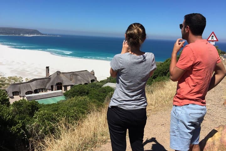 Cape Point Day Tour — Penguins, Coastal Views & Constantia Wine Tasting photo 3