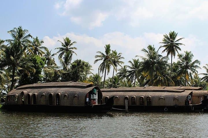 Overnight Alleppey Houseboat Cruise from Kochi — Private Deluxe Backwaters Experience photo 2