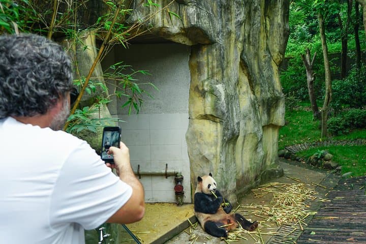 Dujiangyan Panda Valley: 2-Hour Close Encounter with Giant & Red Pandas