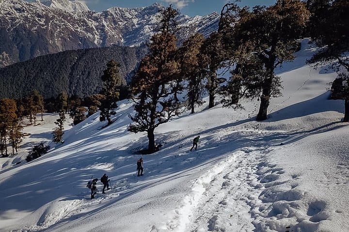 Chopta Trek: Chandrashilla Sunrise, Tungnath and Deoria Tal — 4-Day Himalayan Trek photo 4