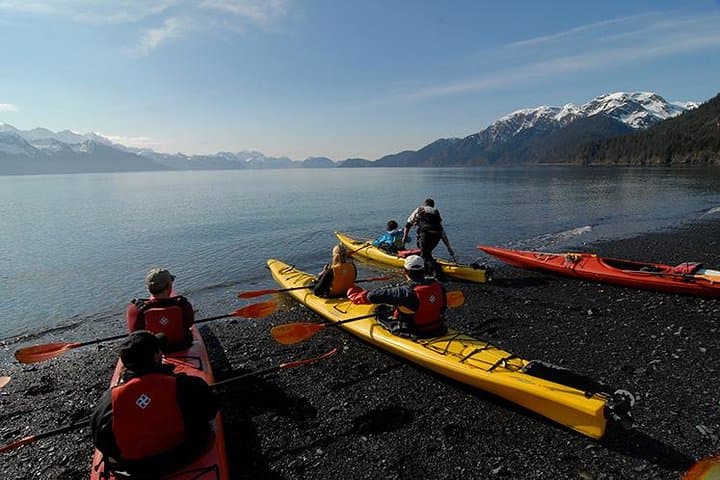 Resurrection Bay Kayaking Adventure: Sea Otters, Salmon Streams & Glacier Views in Seward