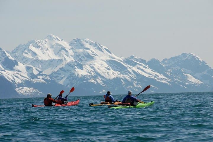 Resurrection Bay Kayaking Adventure: Sea Otters, Salmon Streams & Glacier Views in Seward photo 4