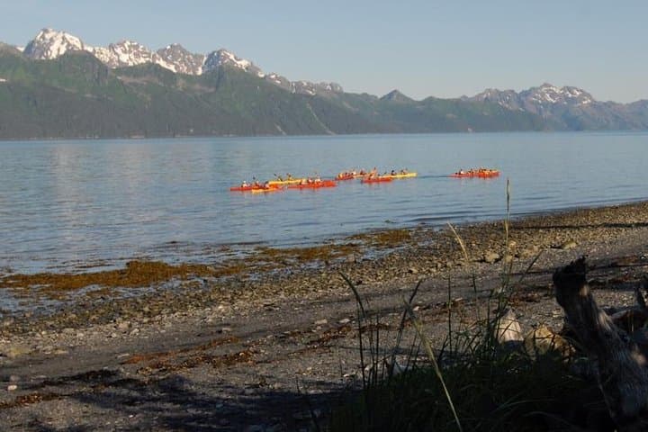 Resurrection Bay Kayaking Adventure: Sea Otters, Salmon Streams & Glacier Views in Seward photo 5