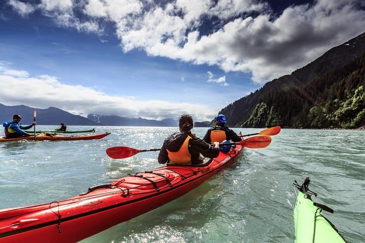 Resurrection Bay Kayaking Adventure: Sea Otters, Salmon Streams & Glacier Views in Seward photo 3