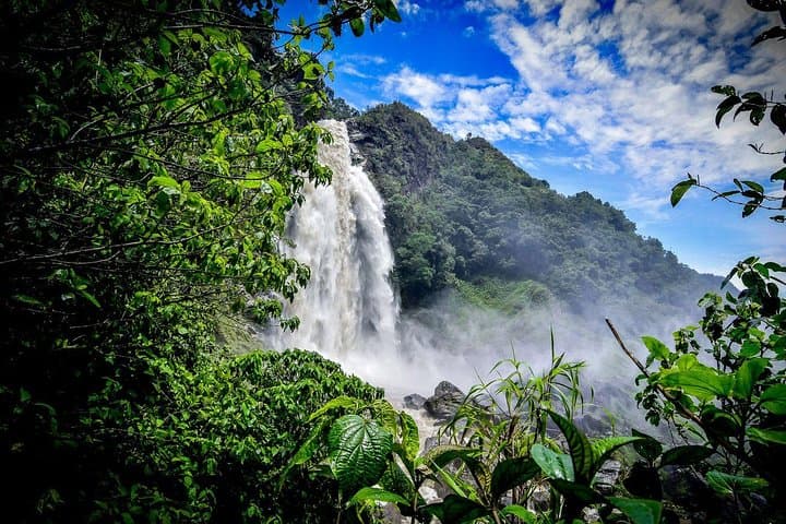 Highest Zipline in Colombia: Zipline, Trek & Waterfall Adventure from Medellín photo 1