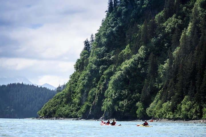 Tonsina Point Kayak and Rainforest Exploration in Resurrection Bay