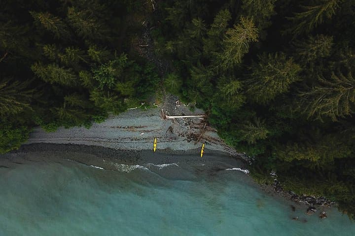 Tonsina Point Kayak and Rainforest Exploration in Resurrection Bay photo 3
