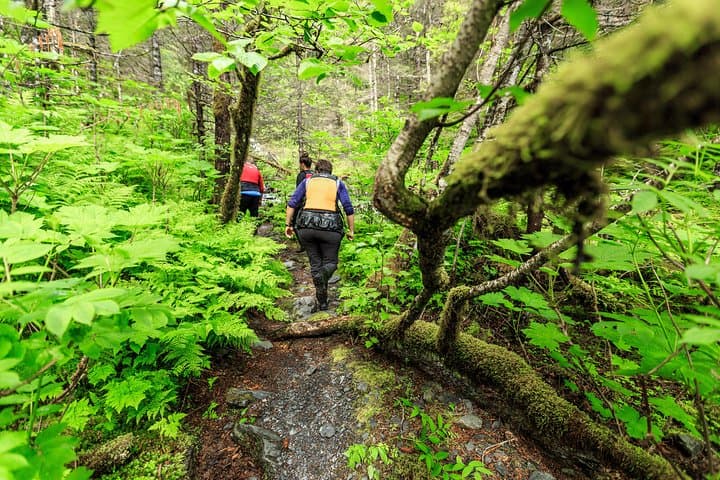 Tonsina Point Kayak and Rainforest Exploration in Resurrection Bay photo 5