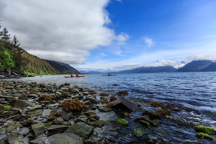 Tonsina Point Kayak and Rainforest Exploration in Resurrection Bay photo 6