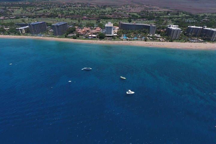 Private Maui Snorkel Charter with Sea Scooters — Kaanapali Fantasy Tour photo 4