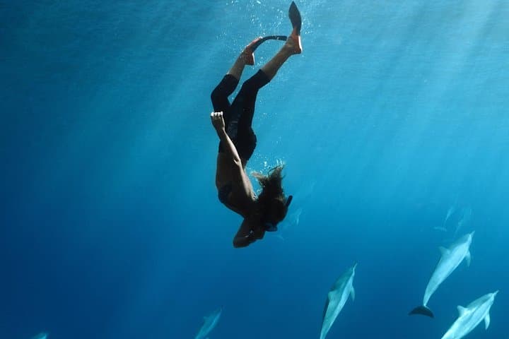 Private Maui Snorkel Charter with Sea Scooters — Kaanapali Fantasy Tour photo 5