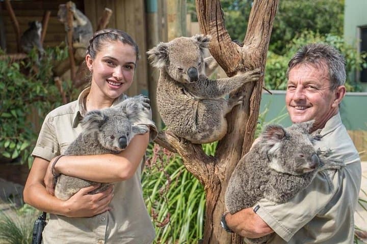 Wildlife, Wine & Waves: South Coast Day Trip from Sydney to Kiama & Kangaroo Valley photo 1