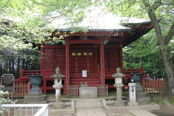 Mt. Takao Zen Food and Hiking: Half-Day Nature Tour from Tokyo