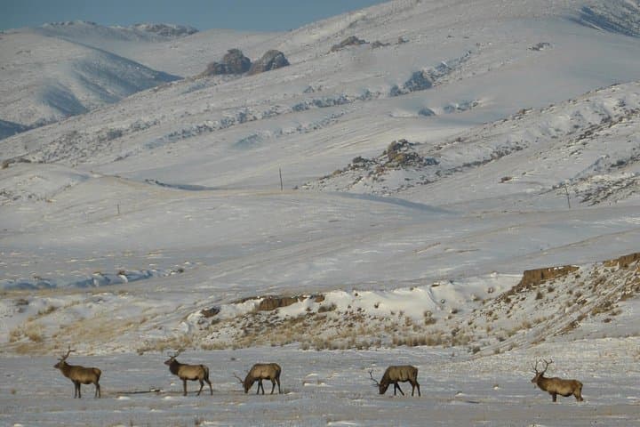 Mongolia National Parks Excursion: Terelj, Khustai & Genghis Khan Monument photo 5
