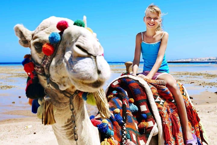 Dubai Evening Desert Safari: Dune Bashing, Camel Rides & BBQ Sunset Experience photo 3