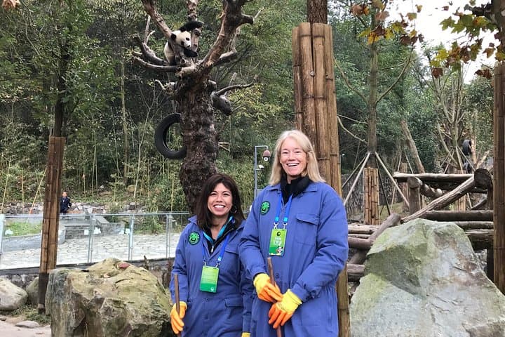 Volunteer with Giant Pandas at Dujiangyan Panda Base — Day Rescue Center Experience photo 2