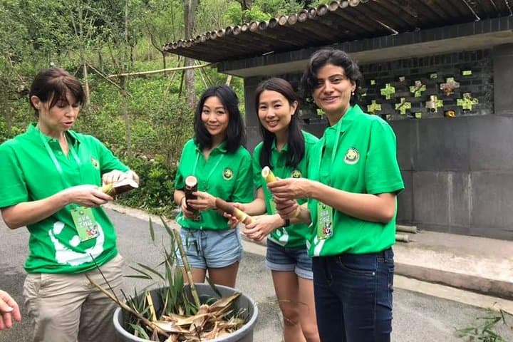 Volunteer with Giant Pandas at Dujiangyan Panda Base — Day Rescue Center Experience photo 3