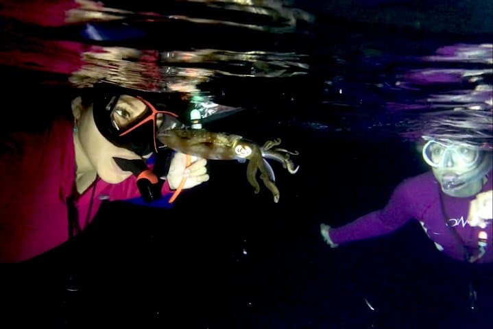 Cozumel Night Snorkel: Octopus and Squid Observation Tour photo 3