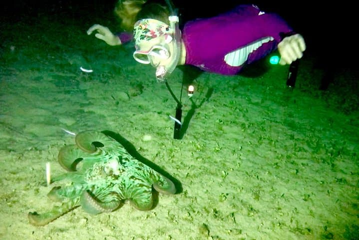 Cozumel Night Snorkel: Octopus and Squid Observation Tour photo 4