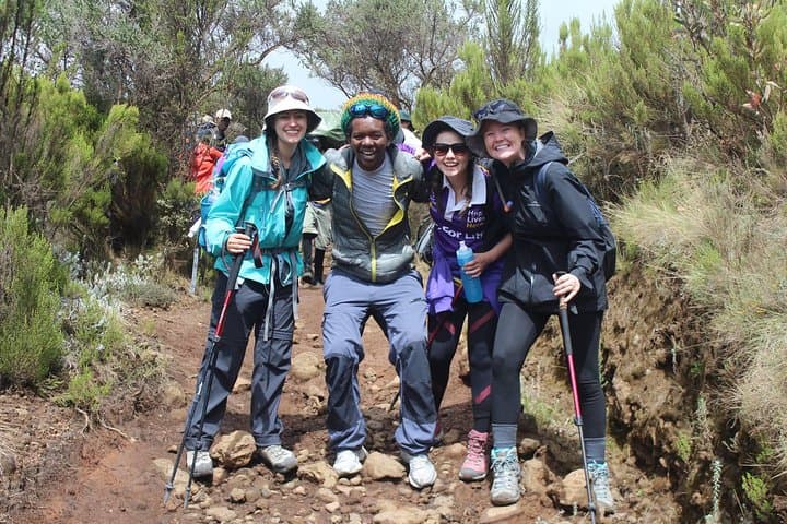 Conquer Kilimanjaro in 6 Days: The Marangu Route Trekking Experience photo 6