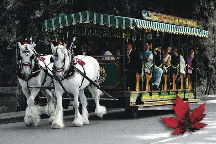 Stanley Park Horse-Drawn Tour & Private Vancouver Sightseeing — 5-Hour Experience