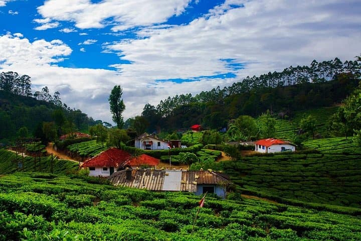 Golden Triangle and Kerala: 14-Day Private India Cultural & Backwaters Journey