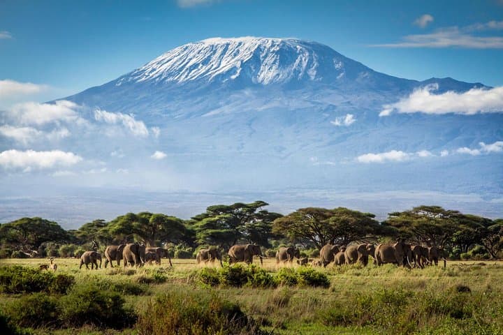 7-Day Mount Kilimanjaro Rongai Route — Complete Trekking Guide & Itinerary