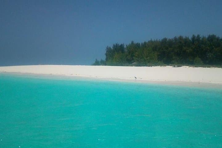Zanzibar Deep Sea Fishing & Mnemba Atoll Snorkel Adventure photo 4