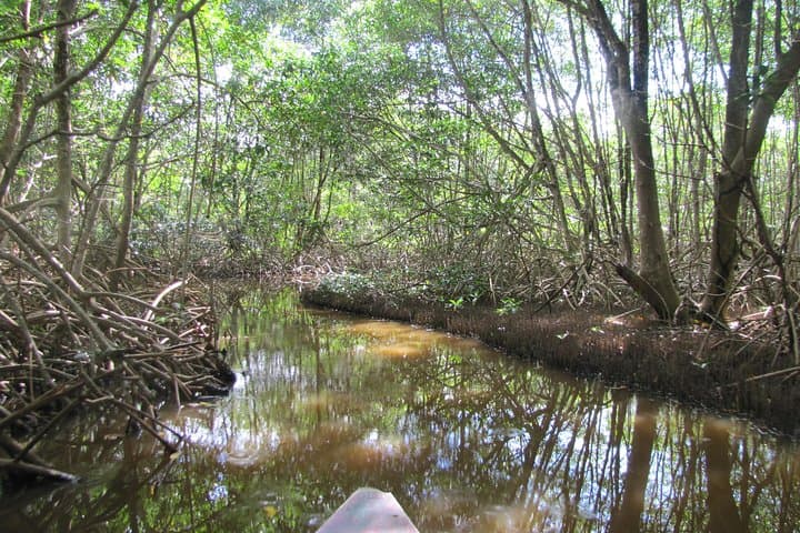 Plantaadje Wetland Bicycle and Boat Tour from Paramaribo photo 4
