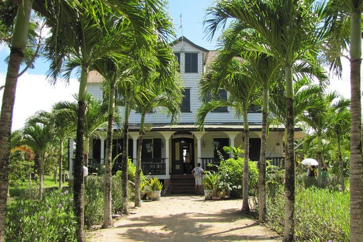 Plantaadje Wetland Bicycle and Boat Tour from Paramaribo photo 5