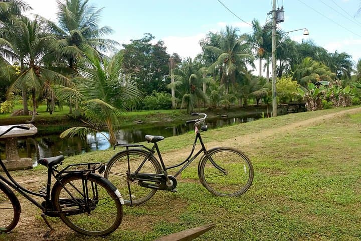 Plantaadje Wetland Bicycle and Boat Tour from Paramaribo photo 6