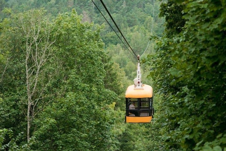 Private Sightseeing Tour in Sigulda: Turaida Castle, Gutmanala & Bobsleigh Track photo 2